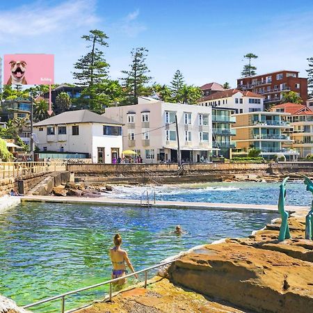 Marine Parade Cité de Cité de Sydney Extérieur photo